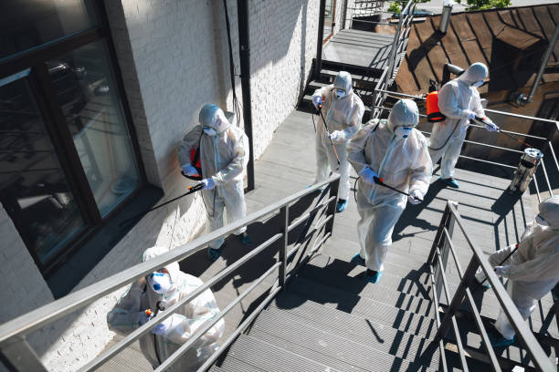 Best Post-Construction Mold Inspection  in Mcswain, CA