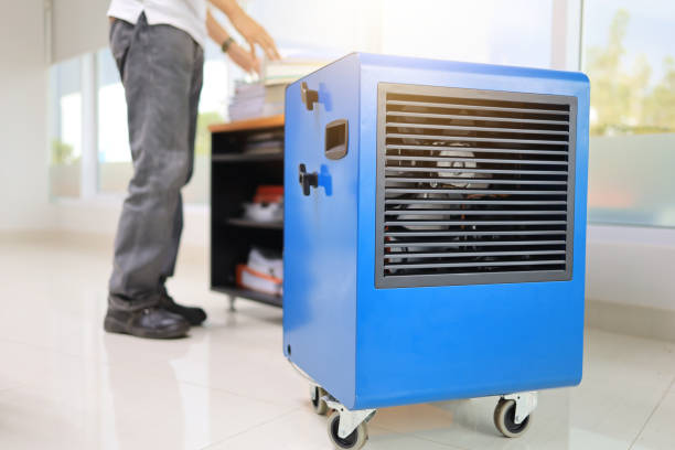 Mcswain, CA Mold Removal Company
