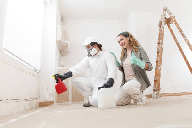 Best Environmental Consulting for Mold Prevention  in Mcswain, CA